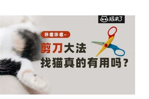 剪刀法原理|寻宠｜民间玄学找猫—剪刀大法使用指